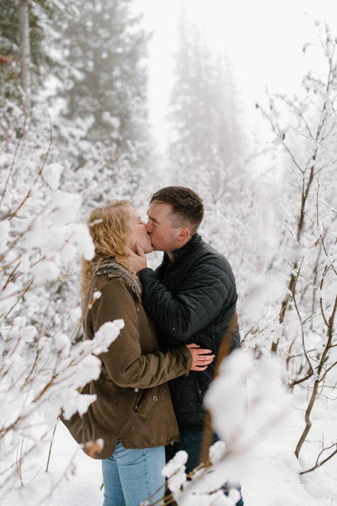 a couple kisses between snowy flocked trees during their winter engagement photos with washington wedding photographer sarah mismash