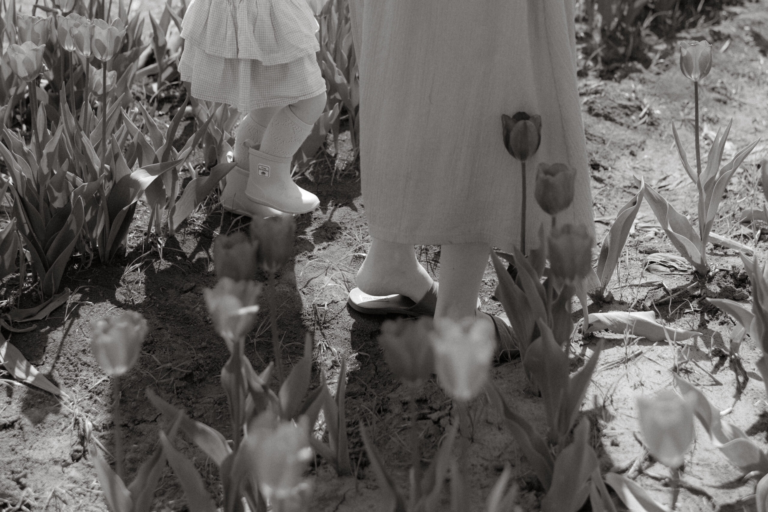 Nostalgic Motherhood Photos at Hubert Farms Tulips | Huntsville, AL By Sarah Mismash Photography an Alabama Photographer