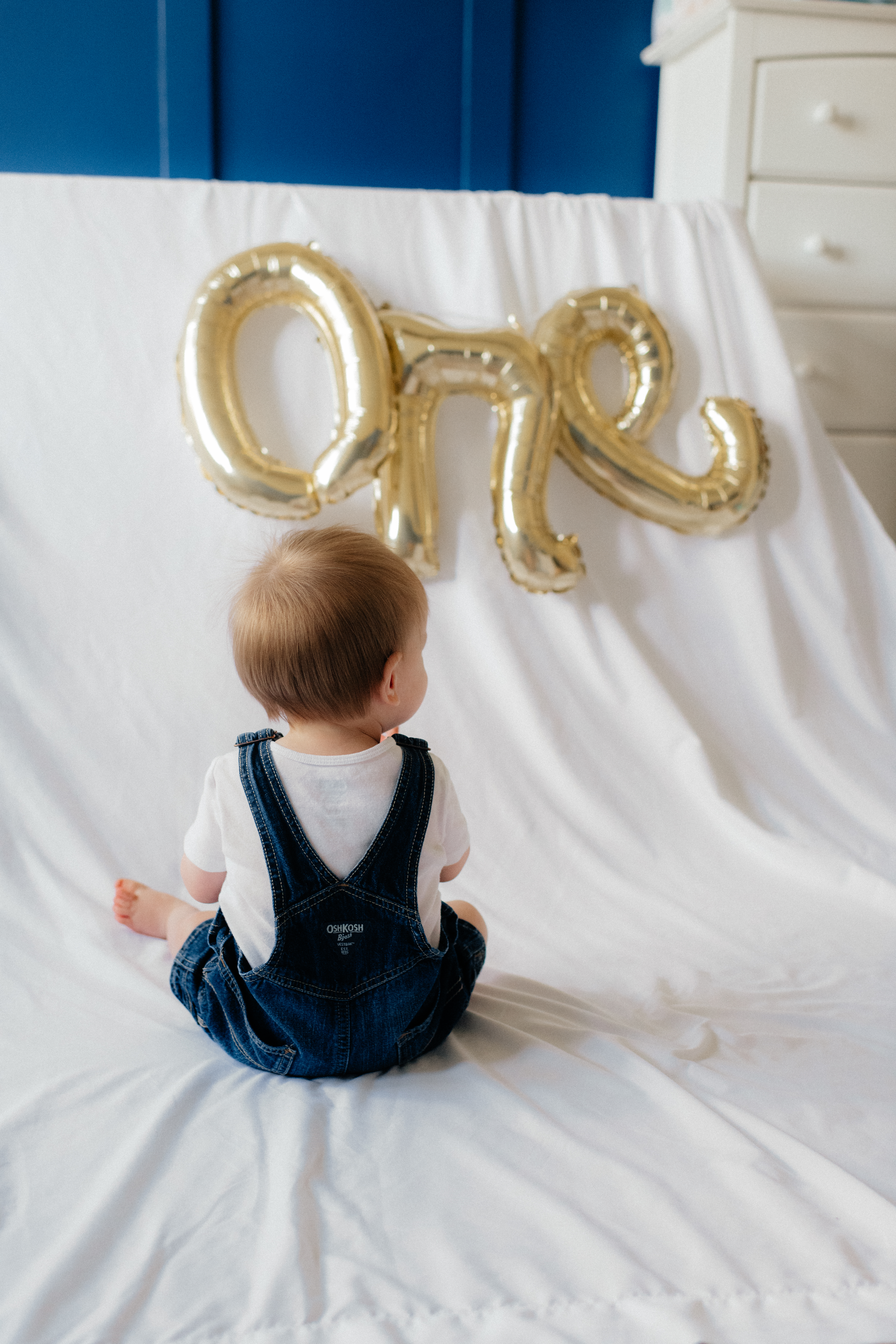 Milestone First Birthday Photos, Huntsville Alabama By sarahmismashphotography