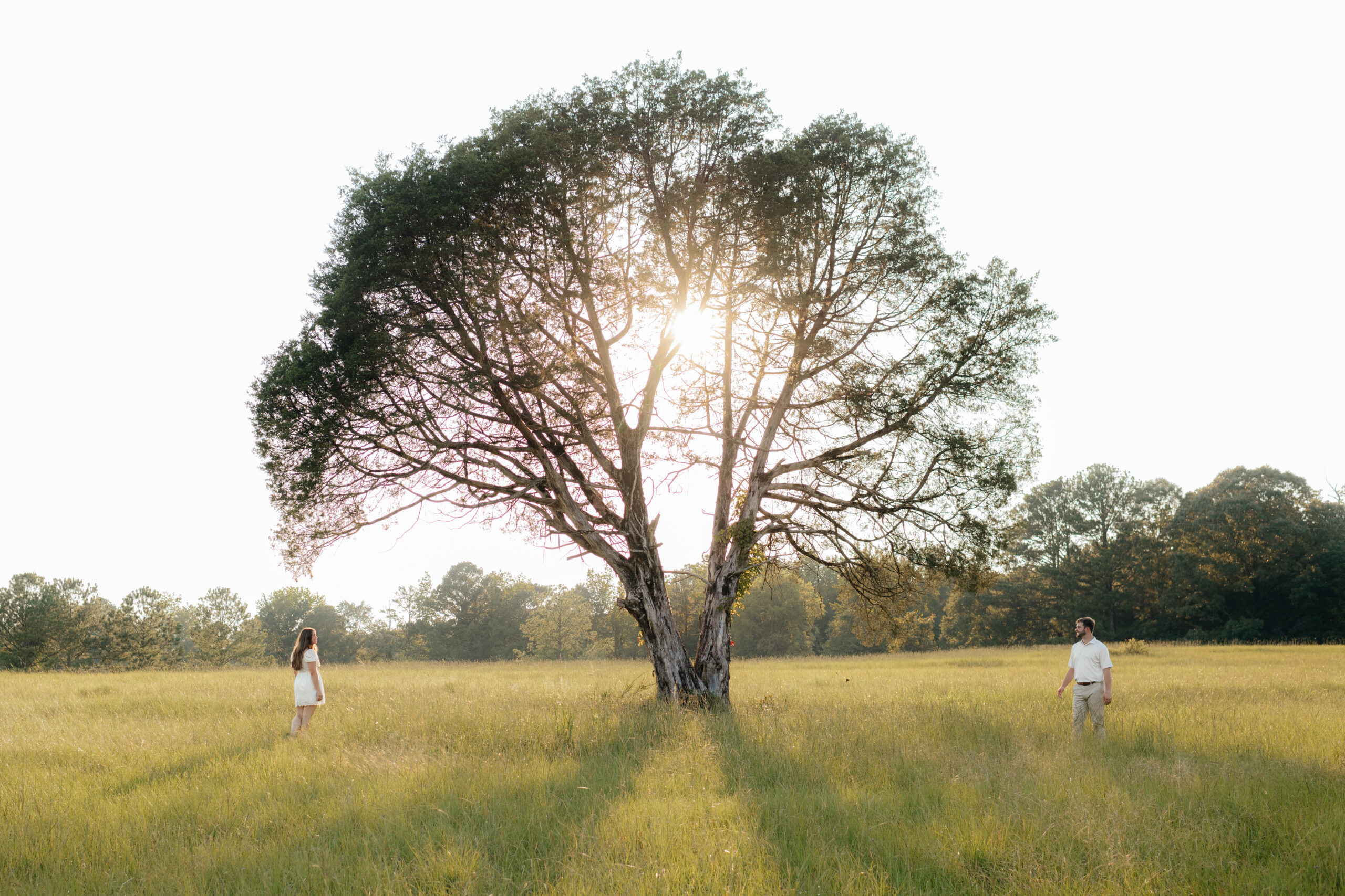 a couple stops by a large oak tree during their summer field engagement photos in calera, alabama, photography by Birmingham alabama wedding photographer Sarah Mismash