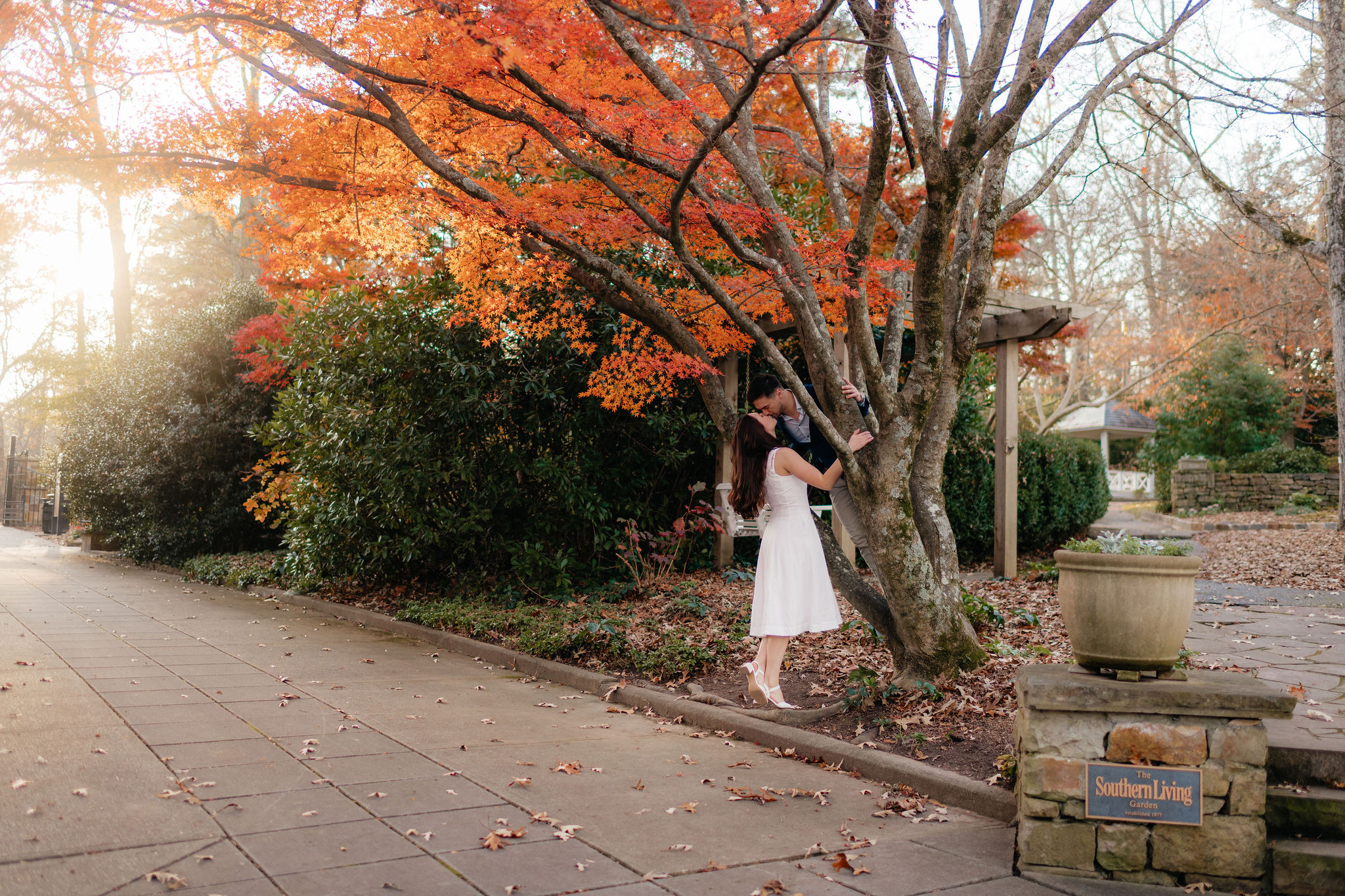 a couple kisses in a japanese maple tree during their fall december engagement photos at the birmingham botanical gardens with alabama engagement photographer sarah mismash