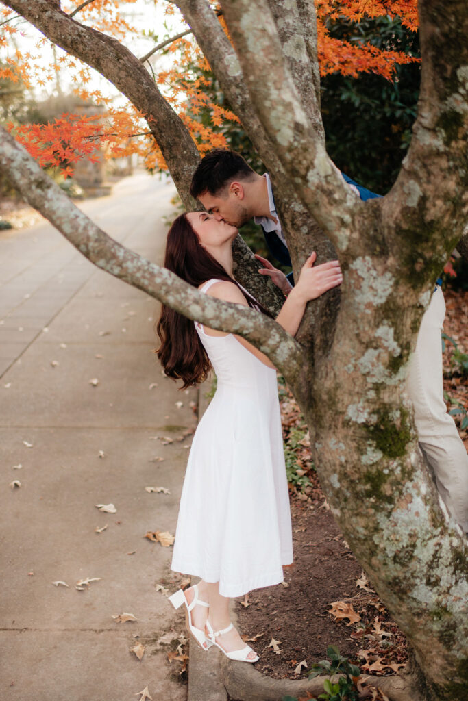 a couple kisses in a japanese maple tree during their fall december engagement photos at the birmingham botanical gardens with alabama engagement photographer sarah mismash