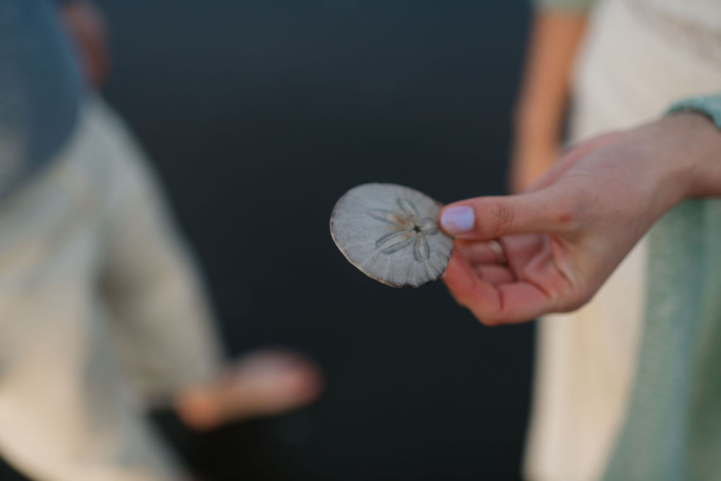 a couple holds a sand dollar at twin harbors state park during their engagement photos on the washington coast with Westport washington engagement photographer Sarah Mismash